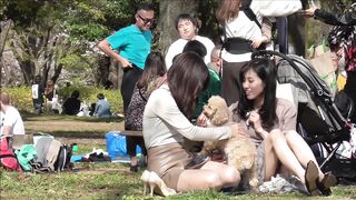 vol 563 2020年 お花見特集 第１弾 voyeur jp 01